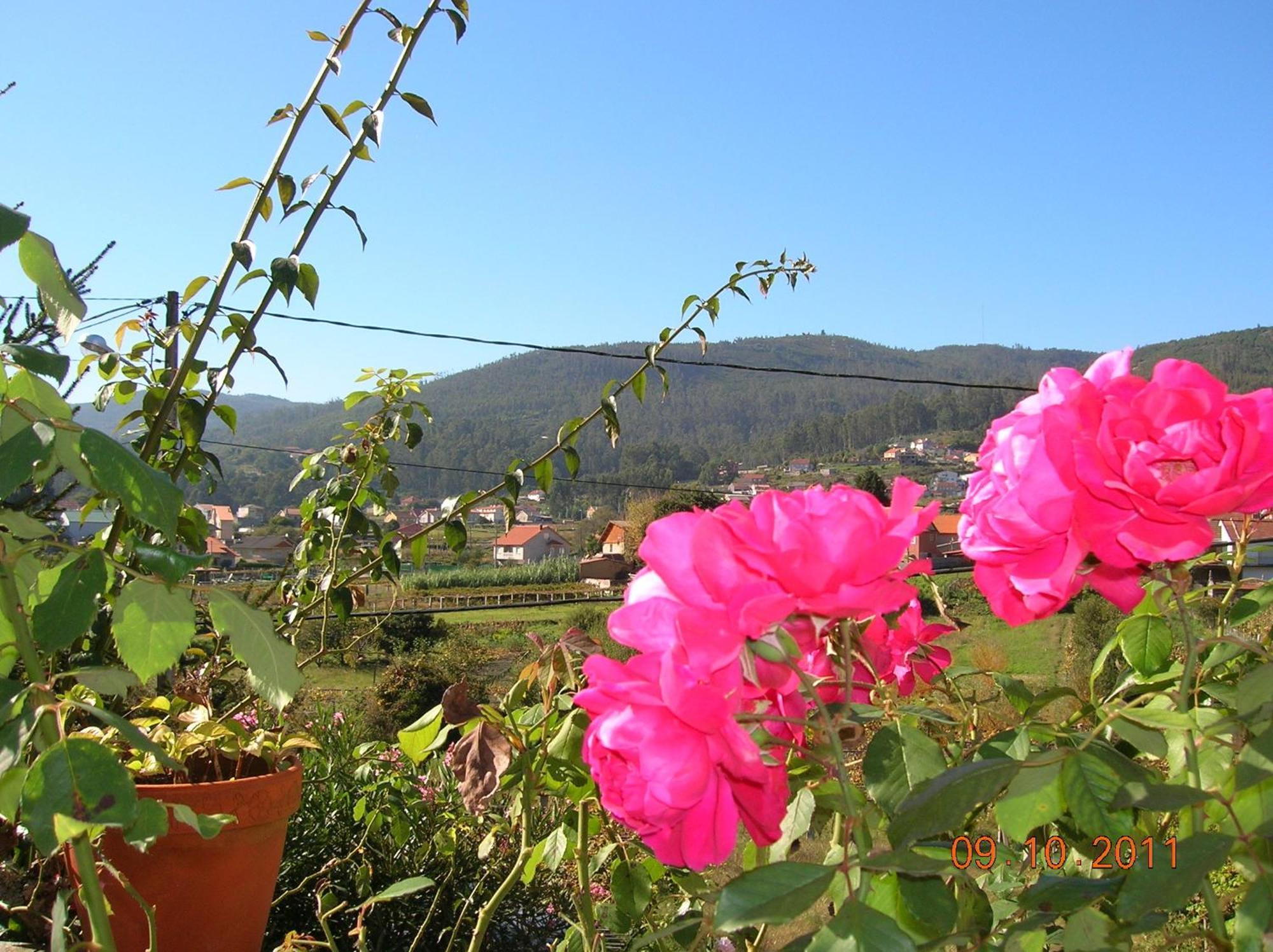 As Adegas Casa rural
