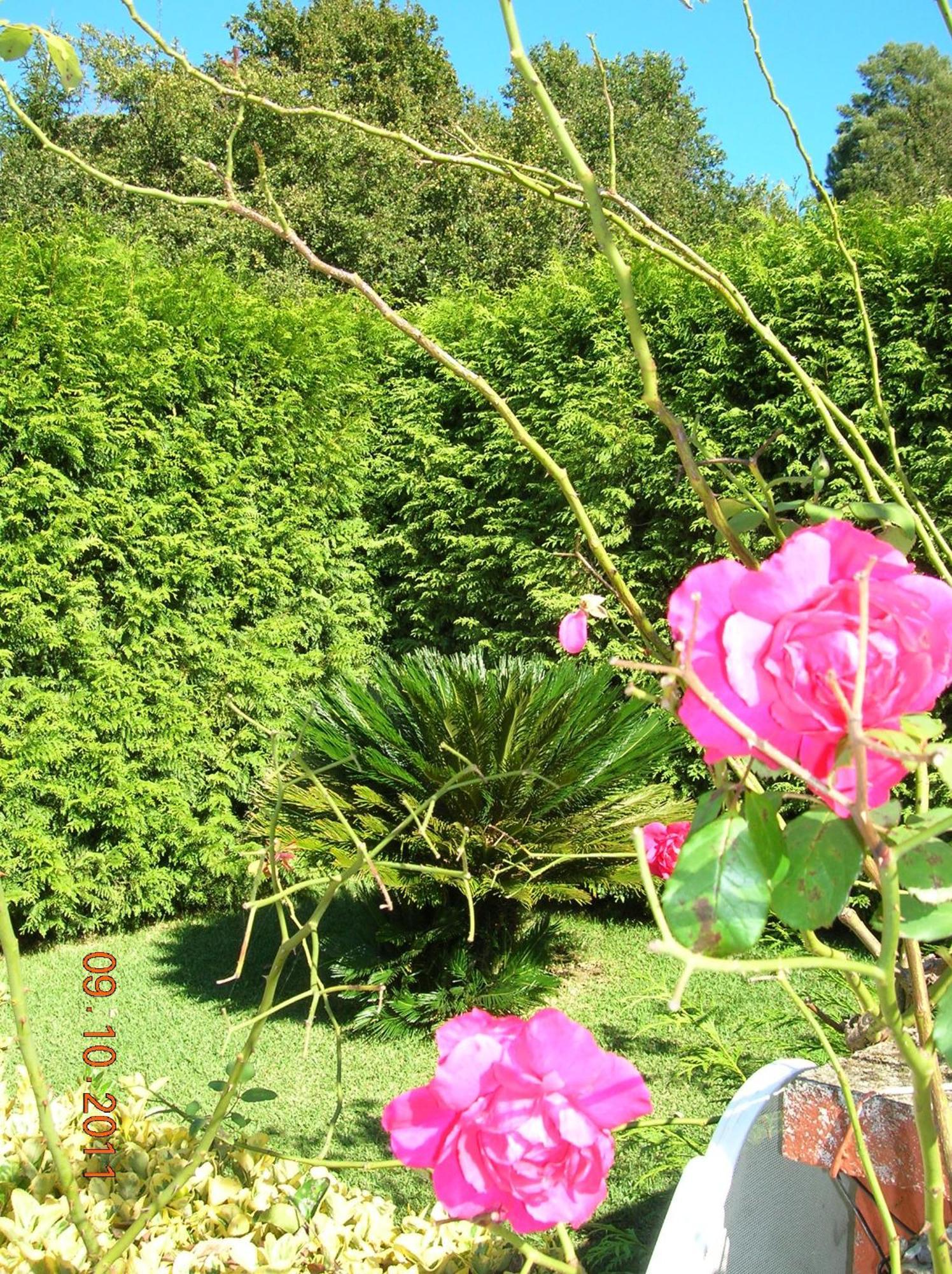 As Adegas Country house